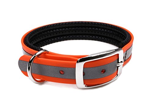 LENNIE BioThane Halsband, gepolstert, Dornschnalle, 19 mm breit, Größe 26-32 cm, Neon-Orange-Reflex von LENNIE