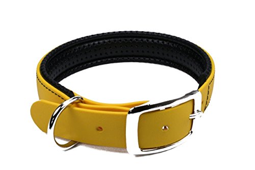 LENNIE BioThane Halsband, gepolstert, Dornschnalle, 19 mm breit, Größe 30-36 cm, Gelb, Aufdruck möglich von LENNIE