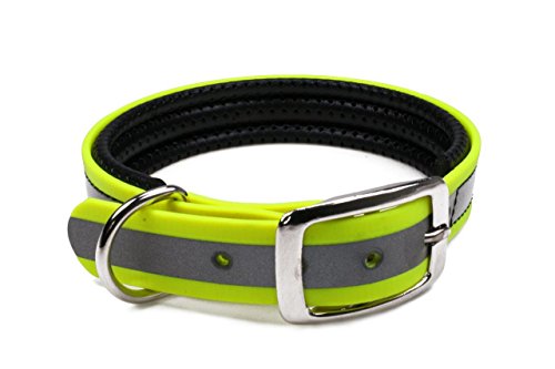 LENNIE BioThane Halsband, gepolstert, Dornschnalle, 25 mm breit, Größe 38-46 cm, Neon-Gelb-Reflex von LENNIE