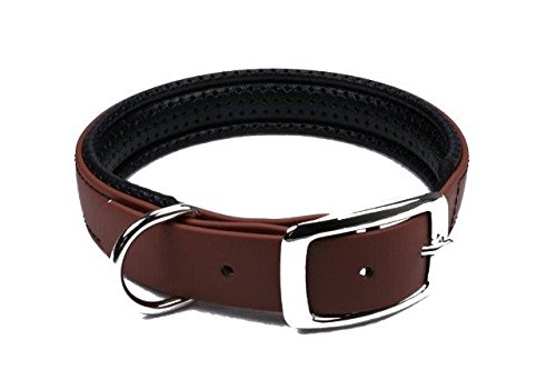 LENNIE BioThane Halsband, gepolstert, Dornschnalle, 25 mm breit, Größe 38-46 cm, Rotbraun, Aufdruck möglich von LENNIE