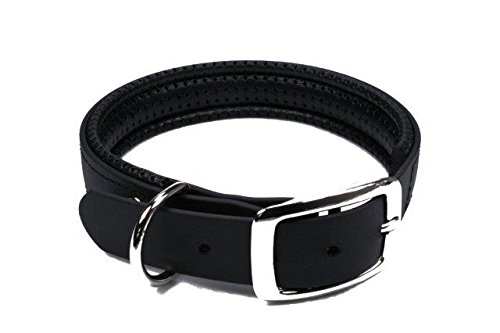 LENNIE BioThane Halsband, gepolstert, Dornschnalle, 25 mm breit, Größe 38-46 cm, Schwarz, Aufdruck möglich von LENNIE