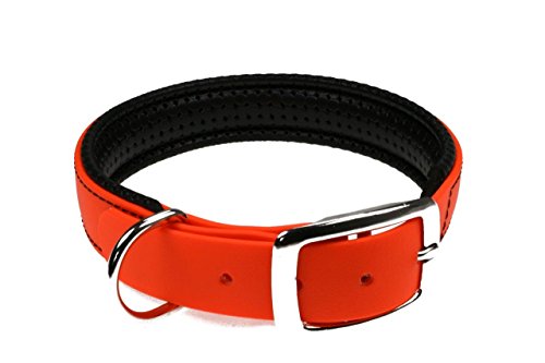 LENNIE BioThane Halsband, gepolstert, Dornschnalle, 25 mm breit, Größe 44-52 cm, Neon-Orange, Aufdruck möglich von LENNIE