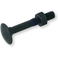 Schraube Rundkopf-Vierkant trcc - Schwarz verzinkt - Ø6x40 - Packung mit 200 Stück - BTRCC0604006B - Lennie von LENNIE