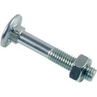 Schraube Rundkopf-Vierkant trcc - weiß verzinkt - Ø12x300 - Packung mit 12 Stück - BTRCC1230002B - Lennie von LENNIE