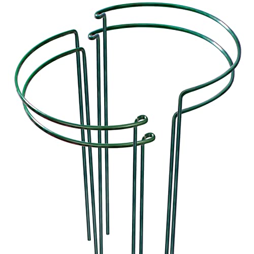 LEOBRO 4 Stück Pflanzenstützpfahl, Metall-Gartenpflanzenpfähle, Pfingstrosenunterstützung, Tomatenkäfig, Halbrunder Pflanzenstützringkäfig, Ranken, Zimmerpflanzen (24.9 cm Bx39.9 cm H) von LEOBRO