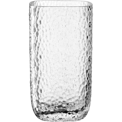 LEONARDO HOME Martello Vase • 1 Stück • Glasvase mit strukturierter Oberfläche • Modernes Design mit Zeitloser Eleganz • Transparente Blumenvase • Ideal für Blumensträuße • Höhe 19 cm • klar • 047096 von LEONARDO HOME