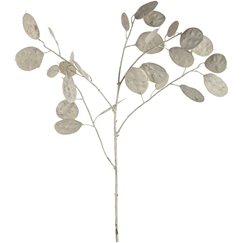 LEONARDO HOME Silber-Dollar-Pflanze Poesia 86 cm weiß, 076439, Kunststoff von LEONARDO HOME
