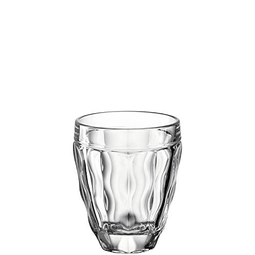 Leonardo Brindisi Trink-Glas 1 Stück, spülmaschinenfester Wasser-Kelch, Trink-Becher aus Glas, modernes Saft-Glas, Whiskey-Glas, 270 ml, 021596 von LEONARDO HOME