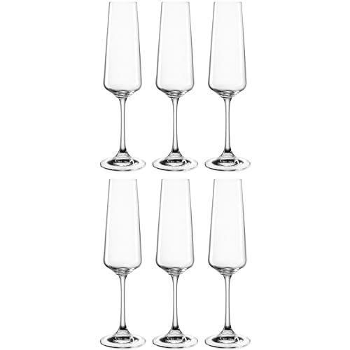 Leonardo Paladino Sekt-Gläser, 6er Set, spülmaschinenfeste Prosecco-Gläser, Sekt-Kelch mit gezogenem Stiel, Champagner-Gläser, 220 ml, 066309 von LEONARDO HOME