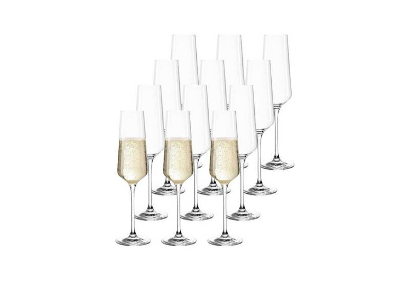 LEONARDO Sektglas Puccini Sektgläser 280 ml 12er Set, Glas von LEONARDO