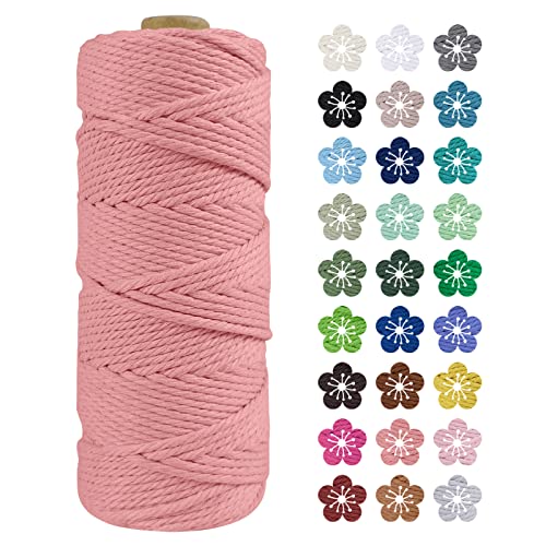 LEREATI Makramee Garn 2mm x 100m Baumwollkordel Natur Baumwollseil Farbig Baumwollgarn, Macrame Cord 2mm für DIY Geflochten, Makramee Deko, Hängepflanze, Wandbehang, Vorhang (Fleischrosa) von LEREATI