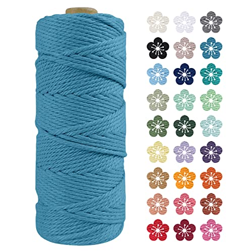 LEREATI Makramee Garn 2mm x 100m Blauer See Baumwollkordel Natur Baumwollseil Farbig Baumwollgarn, Macrame Cord 2mm für DIY Geflochten, Makramee Deko, Hängepflanze, Wandbehang, Vorhang von LEREATI