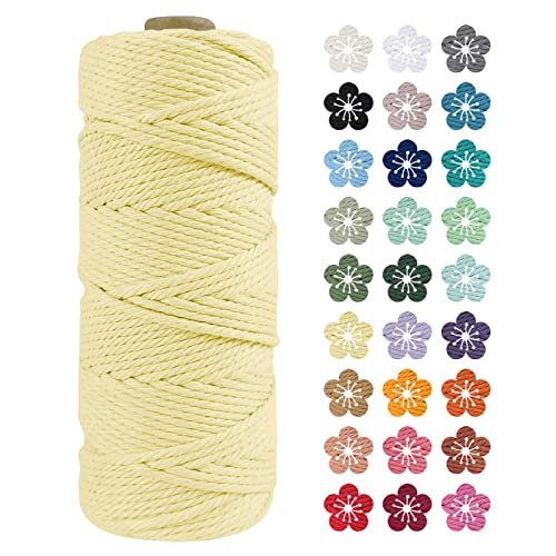 LEREATI Makramee Garn 2mm x 100m Hellgelb Baumwollkordel Natur Baumwollseil Farbig Baumwollgarn, Macrame Cord 2mm für DIY Geflochten, Makramee Deko, Hängepflanze, Wandbehang, Vorhang von LEREATI