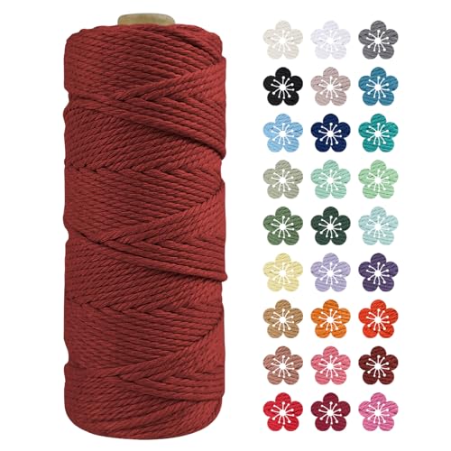 LEREATI Makramee Garn 2mm x 100m Korallrot Baumwollkordel Natur Baumwollseil Farbig Baumwollgarn, Macrame Cord 2mm für DIY Geflochten, Makramee Deko, Hängepflanze, Wandbehang, Vorhang von LEREATI