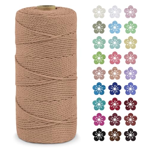 LEREATI Makramee Garn 2mm x 200m Baumwollkordel Natur Baumwollseil Farbig Baumwollgarn, Macrame Cord 2mm für DIY Geflochten, Makramee Deko, Hängepflanze, Wandbehang, Vorhang (Aprikose) von LEREATI