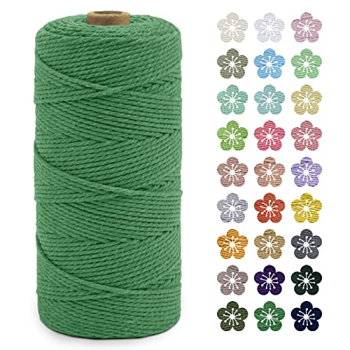 LEREATI Makramee Garn 2mm x 200m Baumwollkordel Natur Baumwollseil Farbig Baumwollgarn, Macrame Cord 2mm für DIY Geflochten, Makramee Deko, Hängepflanze, Wandbehang, Vorhang (Grün) von LEREATI