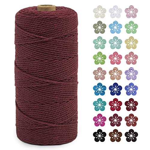 LEREATI Makramee Garn 2mm x 200m Baumwollkordel Natur Baumwollseil Farbig Baumwollgarn, Macrame Cord 2mm für DIY Geflochten, Makramee Deko, Hängepflanze, Wandbehang, Vorhang (Rostrot) von LEREATI