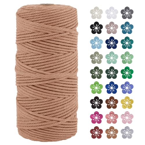 LEREATI Makramee Garn 3mm x 100m Baumwollkordel Natur Baumwollseil Farbig Baumwollgarn, Macrame Cord 3mm für DIY Geflochten, Makramee Deko, Hängepflanze, Wandbehang, Vorhang (Aprikose) von LEREATI