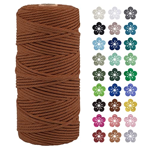 LEREATI Makramee Garn 3mm x 100m Baumwollkordel Natur Baumwollseil Farbig Baumwollgarn, Macrame Cord 3mm für DIY Geflochten, Makramee Deko, Hängepflanze, Wandbehang, Vorhang (Karamell) von LEREATI