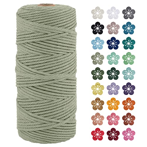 LEREATI Makramee Garn 3mm x 100m Bohnengrün Baumwollkordel Natur Baumwollseil Farbig Baumwollgarn, Macrame Cord 3mm für DIY Geflochten, Makramee Deko, Hängepflanze, Wandbehang, Vorhang von LEREATI