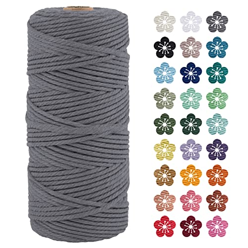 LEREATI Makramee Garn 3mm x 100m Grau Baumwollkordel Natur Baumwollseil Farbig Baumwollgarn, Macrame Cord 3mm für DIY Geflochten, Makramee Deko, Hängepflanze, Wandbehang, Vorhang von LEREATI