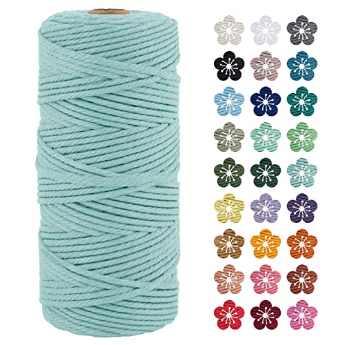 LEREATI Makramee Garn 3mm x 100m Hellblau Baumwollkordel Natur Baumwollseil Farbig Baumwollgarn, Macrame Cord 3mm für DIY Geflochten, Makramee Deko, Hängepflanze, Wandbehang, Vorhang von LEREATI