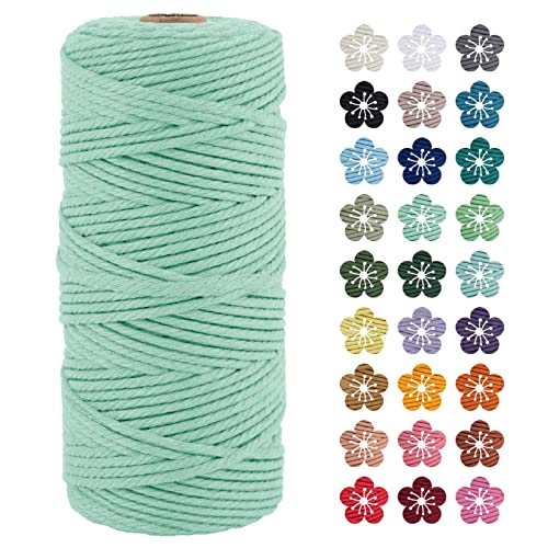 LEREATI Makramee Garn 3mm x 100m Hellgrün Baumwollkordel Natur Baumwollseil Farbig Baumwollgarn, Macrame Cord 3mm für DIY Geflochten, Makramee Deko, Hängepflanze, Wandbehang, Vorhang von LEREATI