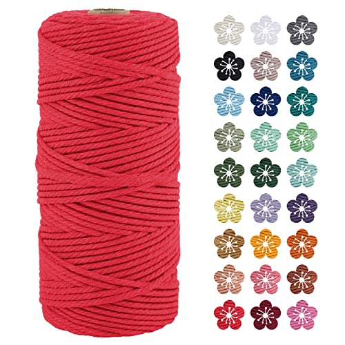 LEREATI Makramee Garn 3mm x 100m Rot Baumwollkordel Natur Baumwollseil Farbig Baumwollgarn, Macrame Cord 3mm für DIY Geflochten, Makramee Deko, Hängepflanze, Wandbehang, Vorhang von LEREATI