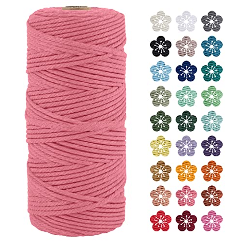 LEREATI Makramee Garn 3mm x 100m Wassermelone Rosa Baumwollkordel Natur Baumwollseil Farbig Baumwollgarn, Macrame Cord 3mm für DIY Geflochten, Makramee Deko, Hängepflanze, Wandbehang, Vorhang von LEREATI