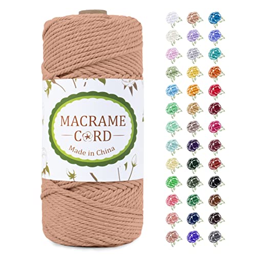 LEREATI Makramee Garn 4mm x 100m, Natur Baumwollkordel Baumwollgarn Farbig Baumwollseil Baumwollschnur, Macrame Cord 4mm für DIY Basteln Geflochten Wandbehang Vorhang Hängepflanze (Aprikose) von LEREATI