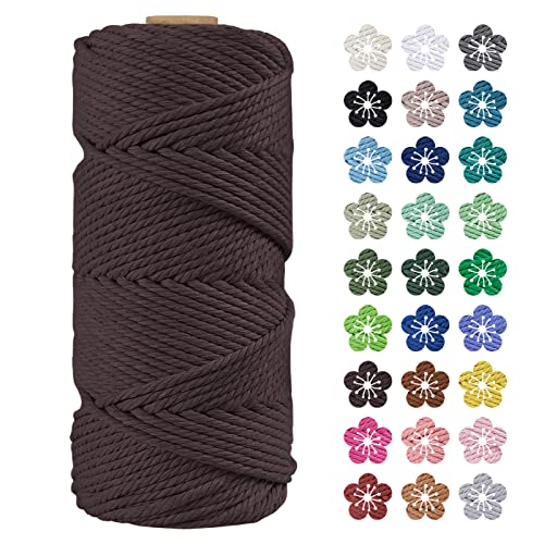 LEREATI Makramee Garn 4mm x 100m Baumwollkordel Natur Baumwollseil Farbig Baumwollgarn, Macrame Cord 4mm für DIY Geflochten, Makramee Deko, Hängepflanze, Wandbehang, Vorhang (Braun) von LEREATI