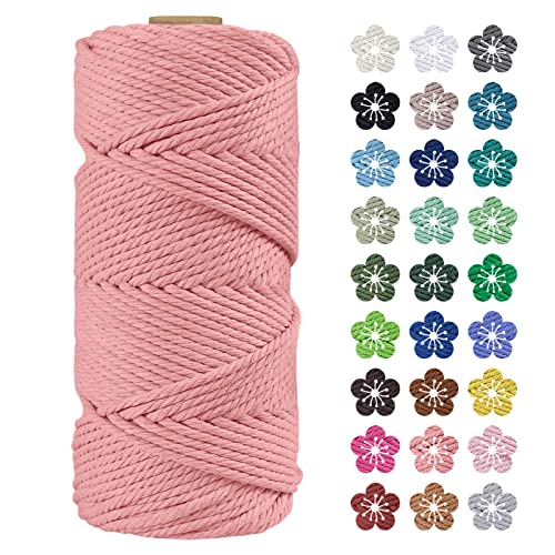 LEREATI Makramee Garn 4mm x 100m Baumwollkordel Natur Baumwollseil Farbig Baumwollgarn, Macrame Cord 4mm für DIY Geflochten, Makramee Deko, Hängepflanze, Wandbehang, Vorhang (Fleischrosa) von LEREATI