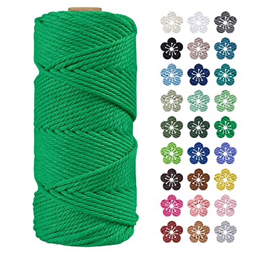 LEREATI Makramee Garn 4mm x 100m Baumwollkordel Natur Baumwollseil Farbig Baumwollgarn, Macrame Cord 4mm für DIY Geflochten, Makramee Deko, Hängepflanze, Wandbehang, Vorhang (Grün) von LEREATI