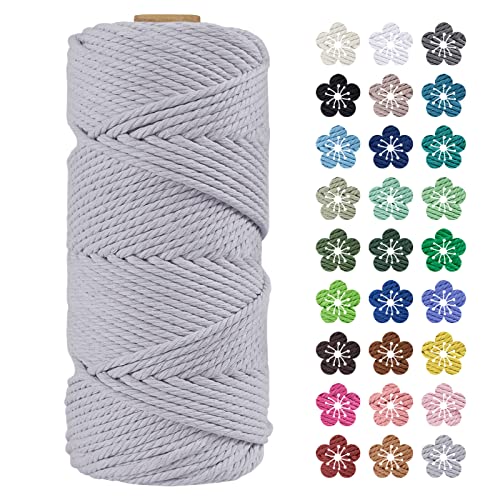 LEREATI Makramee Garn 4mm x 100m Baumwollkordel Natur Baumwollseil Farbig Baumwollgarn, Macrame Cord 4mm für DIY Geflochten, Makramee Deko, Hängepflanze, Wandbehang, Vorhang (Hellgrau) von LEREATI