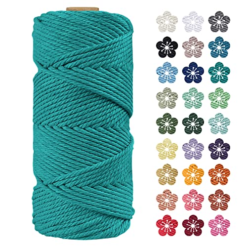 LEREATI Makramee Garn 4mm x 100m Pfauenblau Baumwollkordel Natur Baumwollseil Farbig Baumwollgarn, Macrame Cord 4mm für DIY Geflochten, Makramee Deko, Hängepflanze, Wandbehang, Vorhang von LEREATI