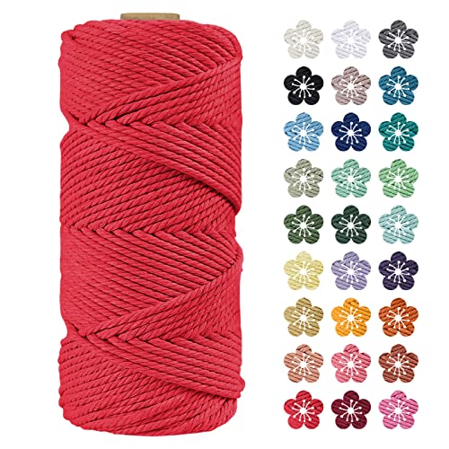 LEREATI Makramee Garn 4mm x 100m Rot Baumwollkordel Natur Baumwollseil Farbig Baumwollgarn, Macrame Cord 4mm für DIY Geflochten, Makramee Deko, Hängepflanze, Wandbehang, Vorhang von LEREATI