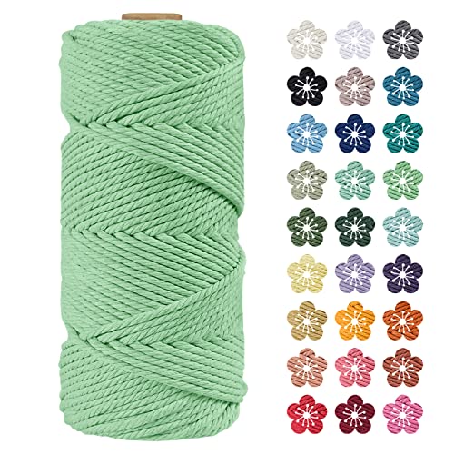 LEREATI Makramee Garn 4mm x 100m Wassergrün Baumwollkordel Natur Baumwollseil Farbig Baumwollgarn, Macrame Cord 4mm für DIY Geflochten, Makramee Deko, Hängepflanze, Wandbehang, Vorhang von LEREATI