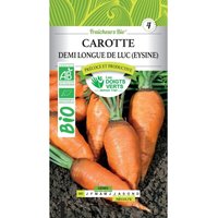 Karotten Samen halb lang Eysines bio Die Grünen Finger Karotten Samen halb lang Eysines bio Die Grünen Finger von LES DOIGTS VERTS