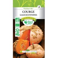 Les Doigts Verts - Kürbiskerne Galeuse d'Eysines bio Die Grünen Finger von LES DOIGTS VERTS
