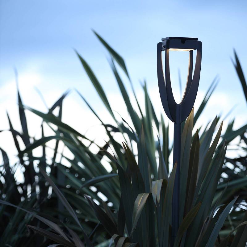 LED-Solarleuchte Tulip mit Erdspieß, anthrazit von Les Jardins