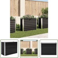 Les Tendances - The Living Store Garten-Hochbeet Anthrazit 100 x 40 x 77 cm Verzinkter Stahl - Gartenhochbeet - Metallhochbeet - Anthrazit von LES TENDANCES