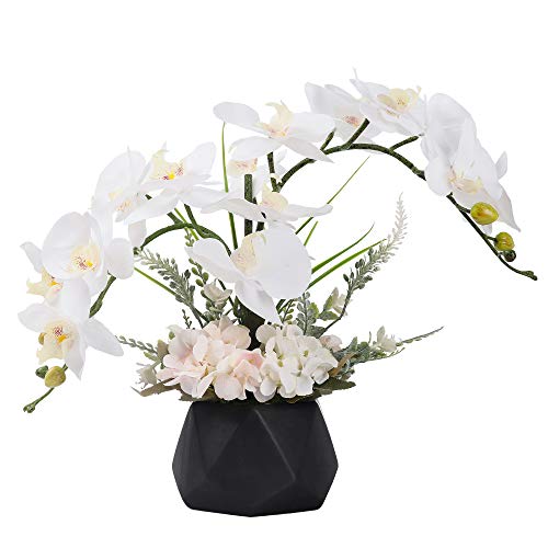 LESING Künstliche Ochideenblumen, künstliche Orchideen-Arrangement mit Vase, künstliche Bonsai-Topfblumen, Phalaenopsis, Orchidee in Vase für Heimdekoration (Stil 2, Schwarze Vase) von LESING