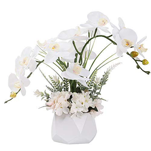 LESING Künstliche Ochideenblumen, künstliche Orchideen-Arrangement mit Vase, künstliche Bonsai-Topfblumen, Phalaenopsis, Orchidee in Vase für Heimdekoration (Stil 2, weiße Vase) von LESING