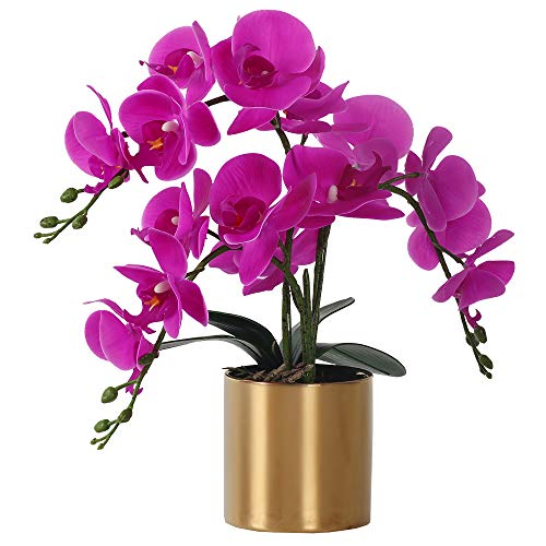 LESING Künstliche Orchidee mit Vase, weiße Orchidee Bonsai künstliche Orchidee Phalaenopsis Pflanztopf Arrangements für Heimdekoration (lila, goldene Vase) von LESING