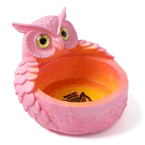 LETAPCLAWTTT Schlüsselschale und Süßigkeitenschale aus Kunstharz für den Eingangsbereich, handbemalt, dekorative Schüssel für Schlüssel, Schmuck, kleine Gegenstände, einzigartiges Urlaubsgeschenk und LETAPCLAWTTT Schlüsselschale und Süßigkeitenschale aus Kunstharz für den Eingangsbereich, handbemalt, dekorative Schüssel für Schlüssel, Schmuck, kleine Gegenstände, einzigartiges Urlaubsgeschenk und von LETAPCLAWTTT