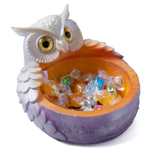 LETAPCLAWTTT Silberfarbene Eulen-Schlüsselschale und Süßigkeitenschale für den Eingangsbereich, handbemalte dekorative Schüssel für Schlüssel, Schmuck, kleine Gegenstände, einzigartiges LETAPCLAWTTT Silberfarbene Eulen-Schlüsselschale und Süßigkeitenschale für den Eingangsbereich, handbemalte dekorative Schüssel für Schlüssel, Schmuck, kleine Gegenstände, einzigartiges von LETAPCLAWTTT