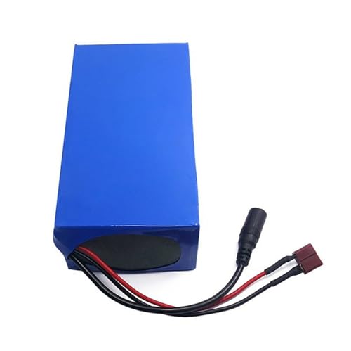 48 V 20 Ah Wiederaufladbarer Lithium-Ionen-Akku Für E-Bikes, Roller, Motorräder, Balance-Autobatterien, Motor Mit BMS-Schutzplatine Und Ladegerät A,T+DC von LETIANZG