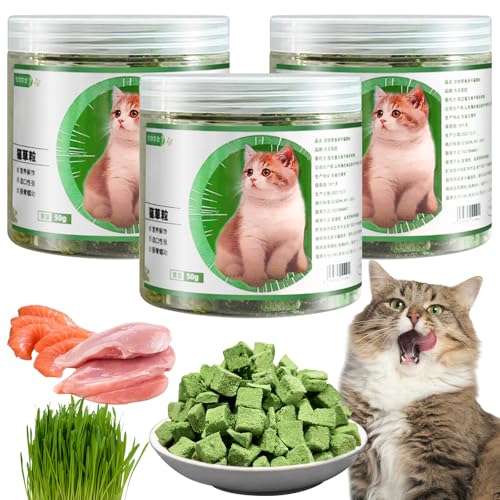 150g Katzengras Sticks, 3 Stück Katzengras Snacks Gefriergetrocknet Snacks für Katzen Beißstäbe Aus Katzengras Katzen Sticks Katzengras Fertig Gewachsen für Zahnpflege Haarknäuel Entfernen 150g Katzengras Sticks, 3 Stück Katzengras Snacks Gefriergetrocknet Snacks für Katzen Beißstäbe Aus Katzengras Katzen Sticks Katzengras Fertig Gewachsen für Zahnpflege Haarknäuel Entfernen von LETTERASHQP