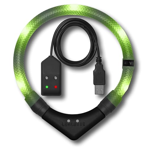 LEUCHTIE® Leuchthalsband Easy Charge für Hunde, USB aufladbar, wasserdichtes LED Halsband, extrem hell, 25h Leuchtdauer, kleine mittlere und große Hunde Limette Größe 57,5 von LEUCHTIE