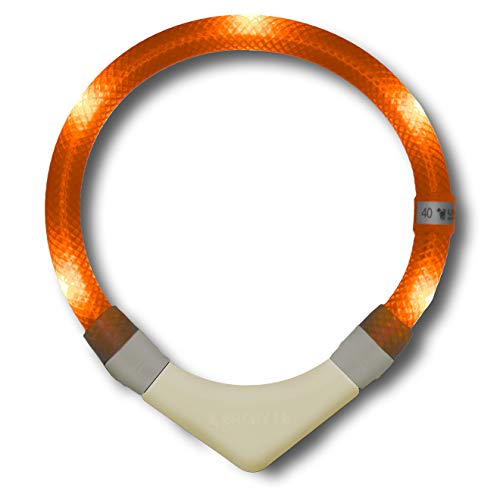 LEUCHTIE® Leuchthalsband Plus NL für Hunde, nachleuchtend phosphoreszierendes Batterieteil, wasserdichtes LED Halsband, 100h Leuchtdauer, für kleine mittlere und große Hunde Sunset-orange Größe 35 von LEUCHTIE